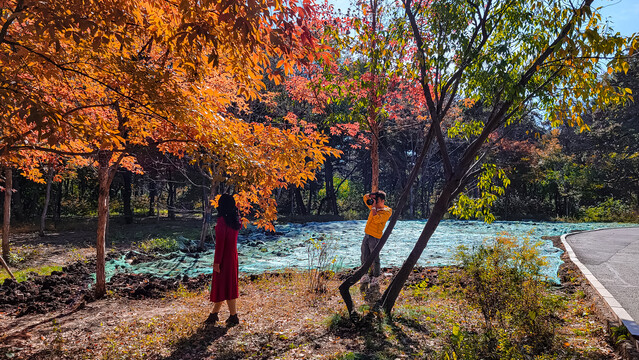 长春南湖公园秋季红叶风景