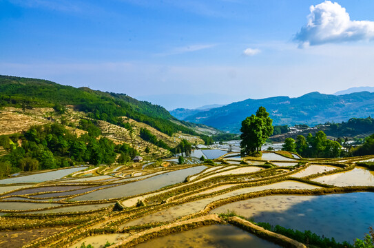 红河哈尼梯田