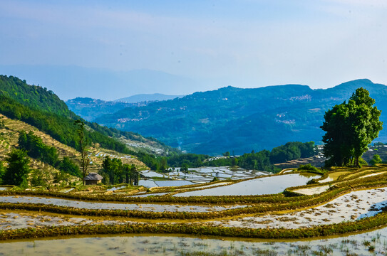 红河哈尼梯田