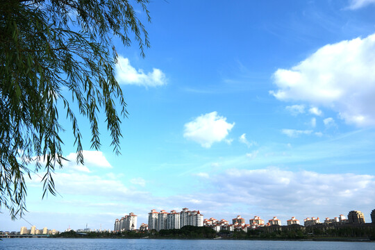 江边风景