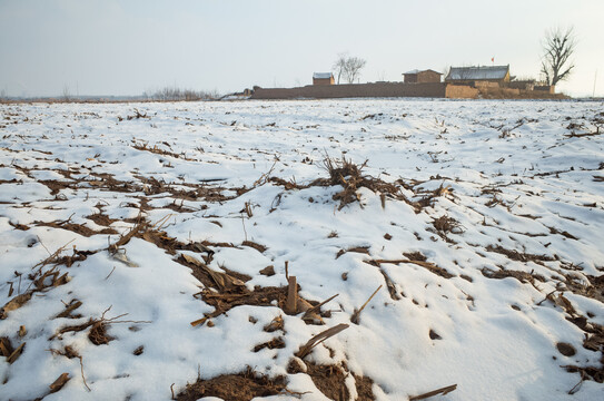 雪后黄土地