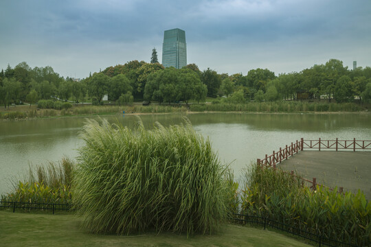 义乌福田湿地公园