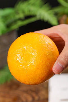 新鲜爱媛果冻橙