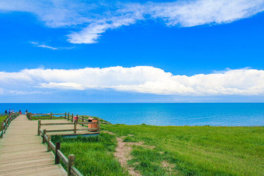 青海湖沙岛风光