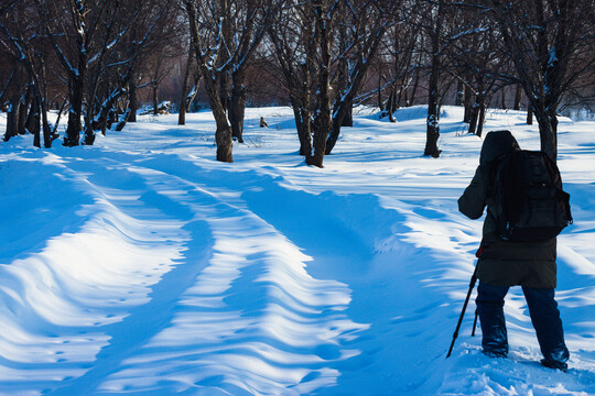 冬季雪地树林摄影人