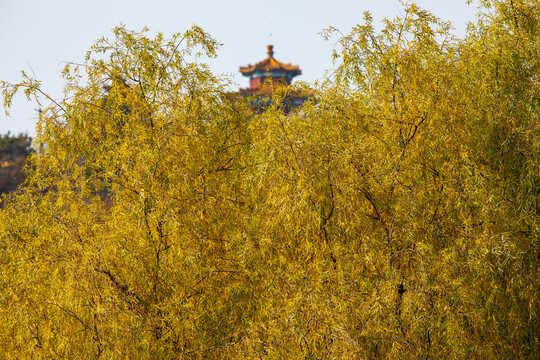 吉林北山金秋风光