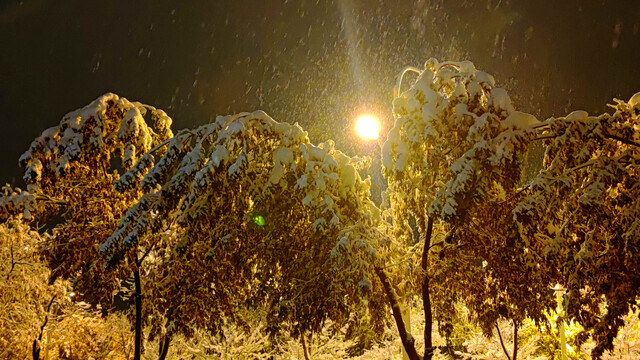 雪中夜色