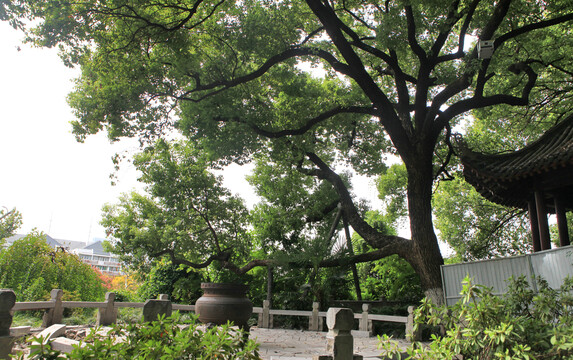 黄鹤楼风景区