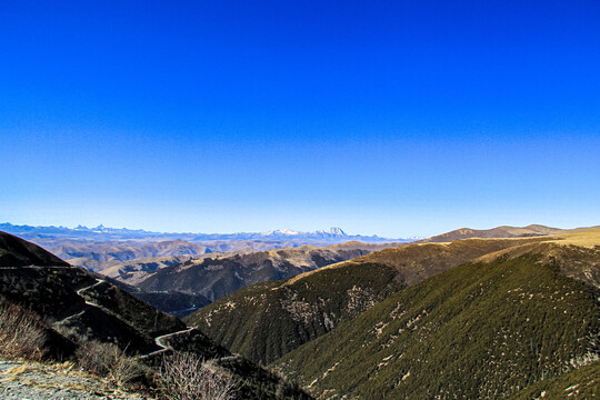 高尔寺山