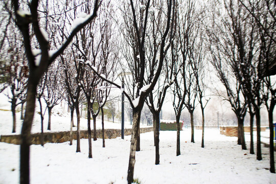 园林雪景