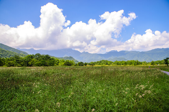 大九湖