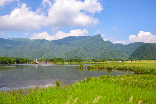 神农架大九湖