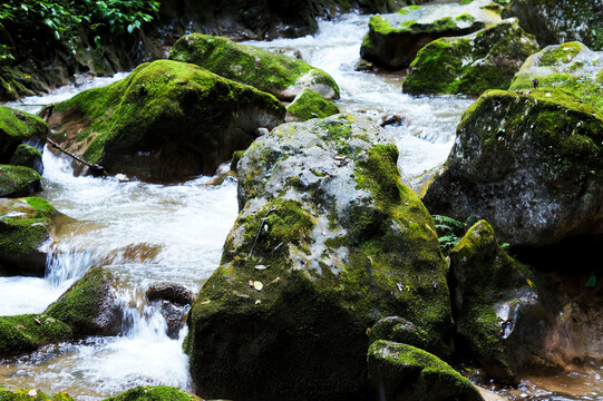 小溪溪流