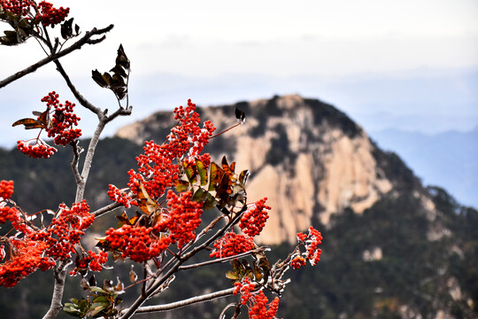 东岳泰山