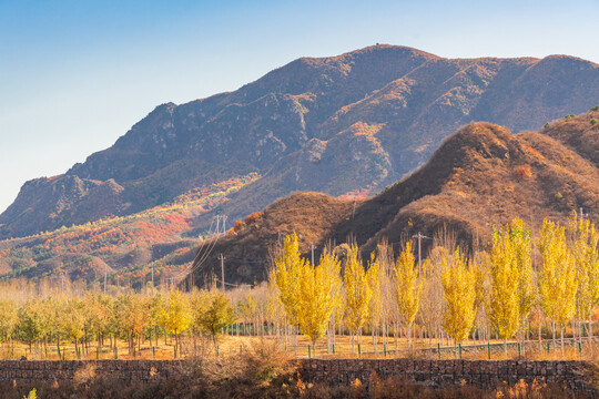 北京怀柔喇叭沟门的秋景