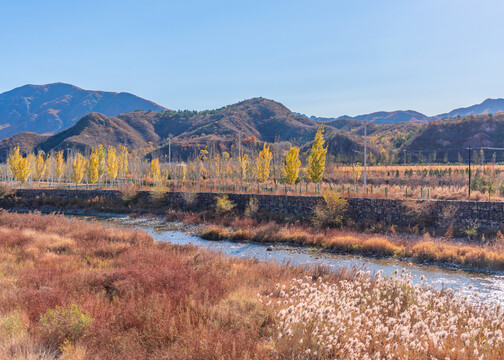 北京怀柔喇叭沟门的秋景