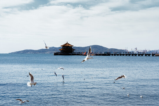 青岛旅游地标海面海娘