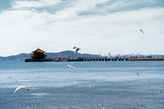 青岛旅游地标海面海娘