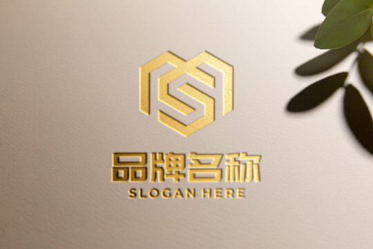 烫金击凹logo样机