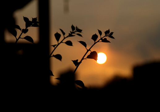 夕阳落日剪影