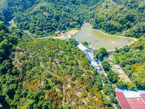 深圳市梧桐山下的艺术小镇