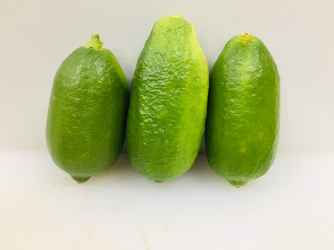 香水柠檬