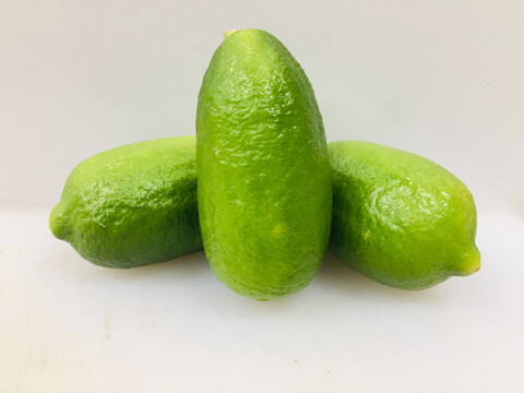 香水柠檬