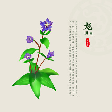 龙胆草