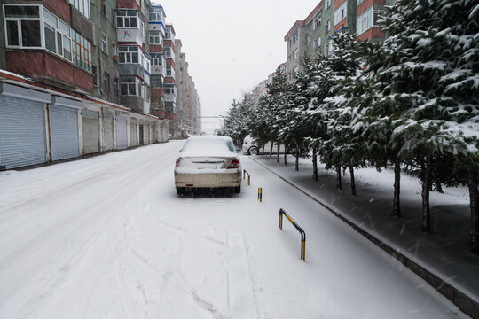 居民小区路面树木积雪