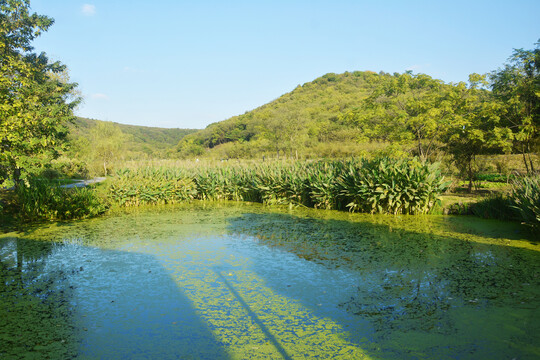 湖光山色