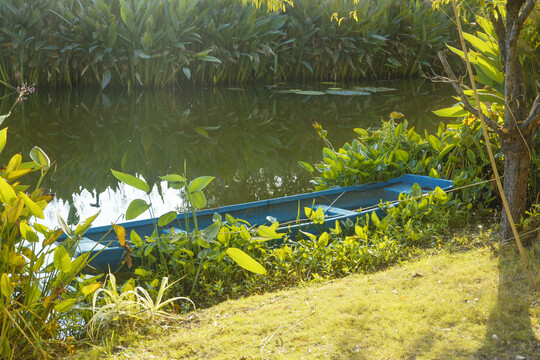 湖畔蓝色小船