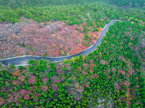 航拍济南蚰蜒山红叶