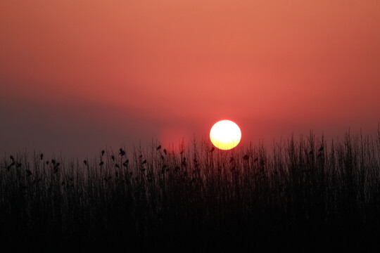 夕阳