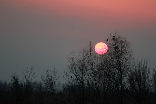 夕阳
