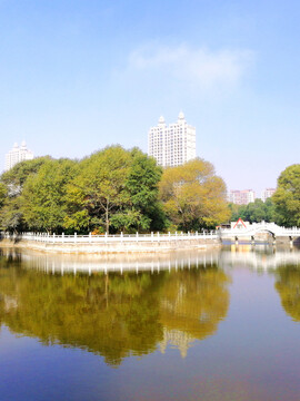 城市公园