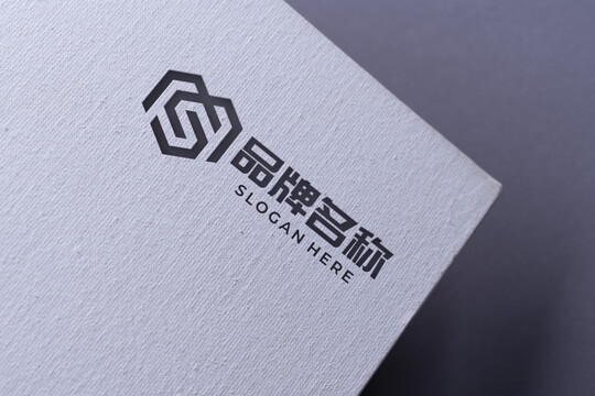 特种纸烫黑金LOGO样机