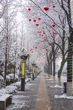 扶风雪景