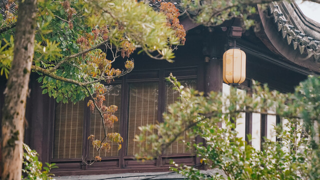 宁波天一阁月湖景区秋景