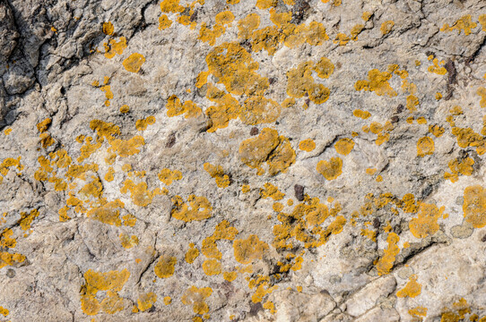 岩石黄斑纹理