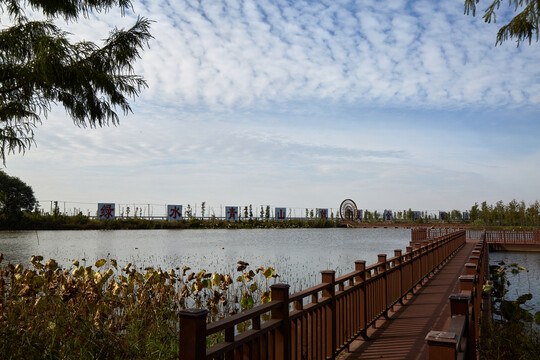 安徽省芜湖市湾沚区百鸟滩