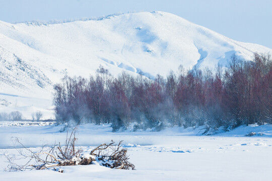 雪山树林河边