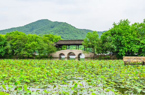 杭州湘湖采莲桥