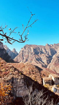 山顶风光