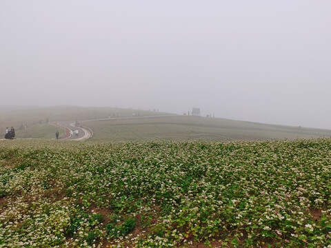 田园风光