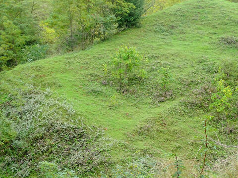 秋韵山坡