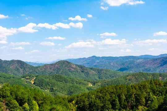 青山