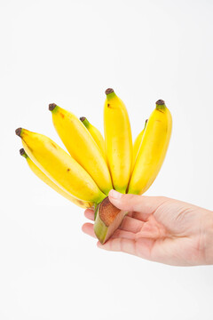 小米蕉香蕉芭蕉