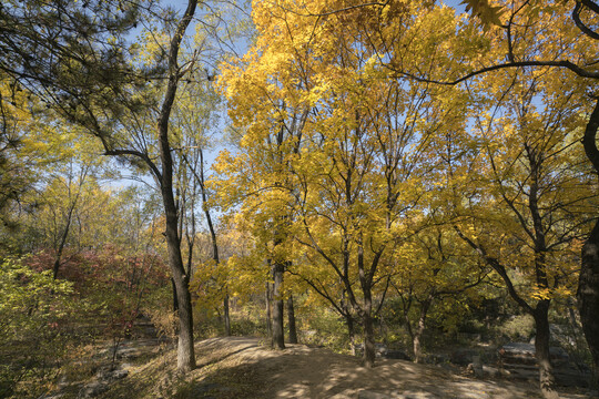 北京奥林匹克森林公园