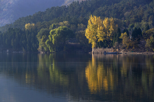 湖边的秋色美图下载