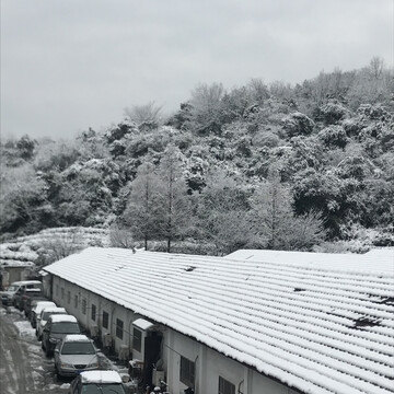 杭州冬天雪景